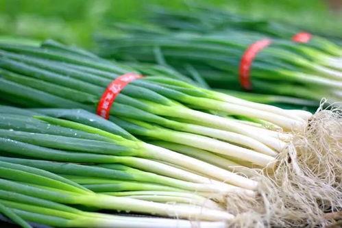 吃瓜大爆料菌,吃瓜大爆料菌带你探秘明星幕后故事