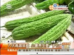 最新吃瓜事件苏州新闻网,揭秘最新吃瓜事件，真相大白！